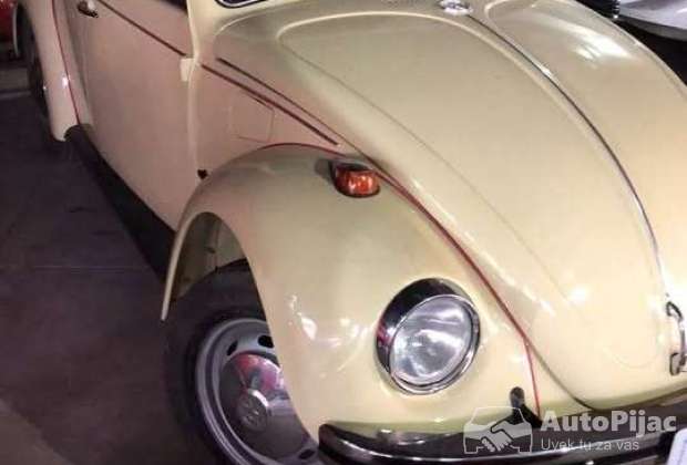 VW Buba